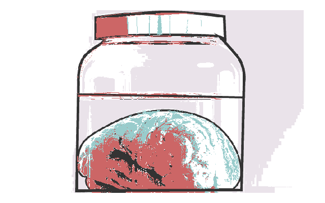 Brain in a jar